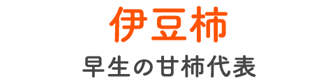 伊豆柿 早生の甘柿代表