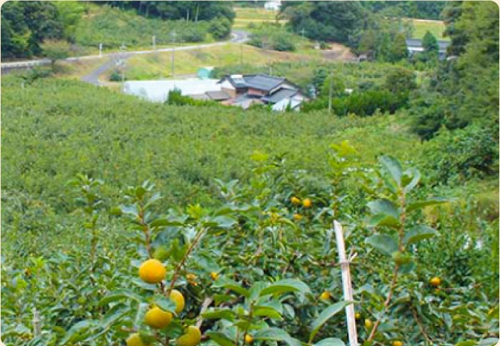 出雲市平田地区の写真２ 傾斜のある土地