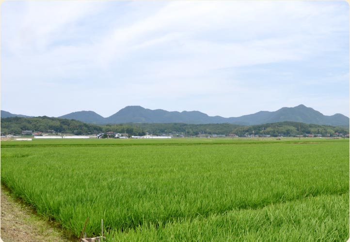 出雲市平田地区の写真３ 緑豊かな風景