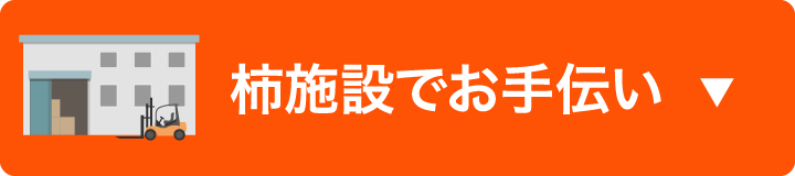 柿施設でお手伝い